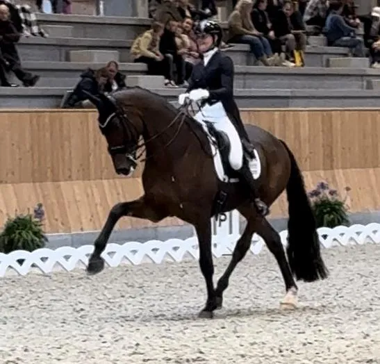 Dressurundervisning på Kirstinelund