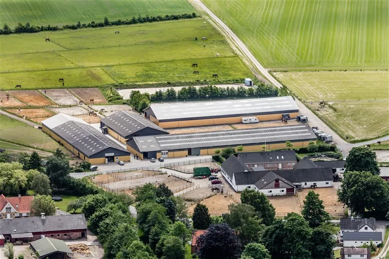 Luftfoto af folde med heste